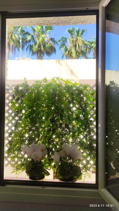 شقة Rosalia Playa San Cristobal Wifi Netflix Almuñécar المظهر الخارجي الصورة